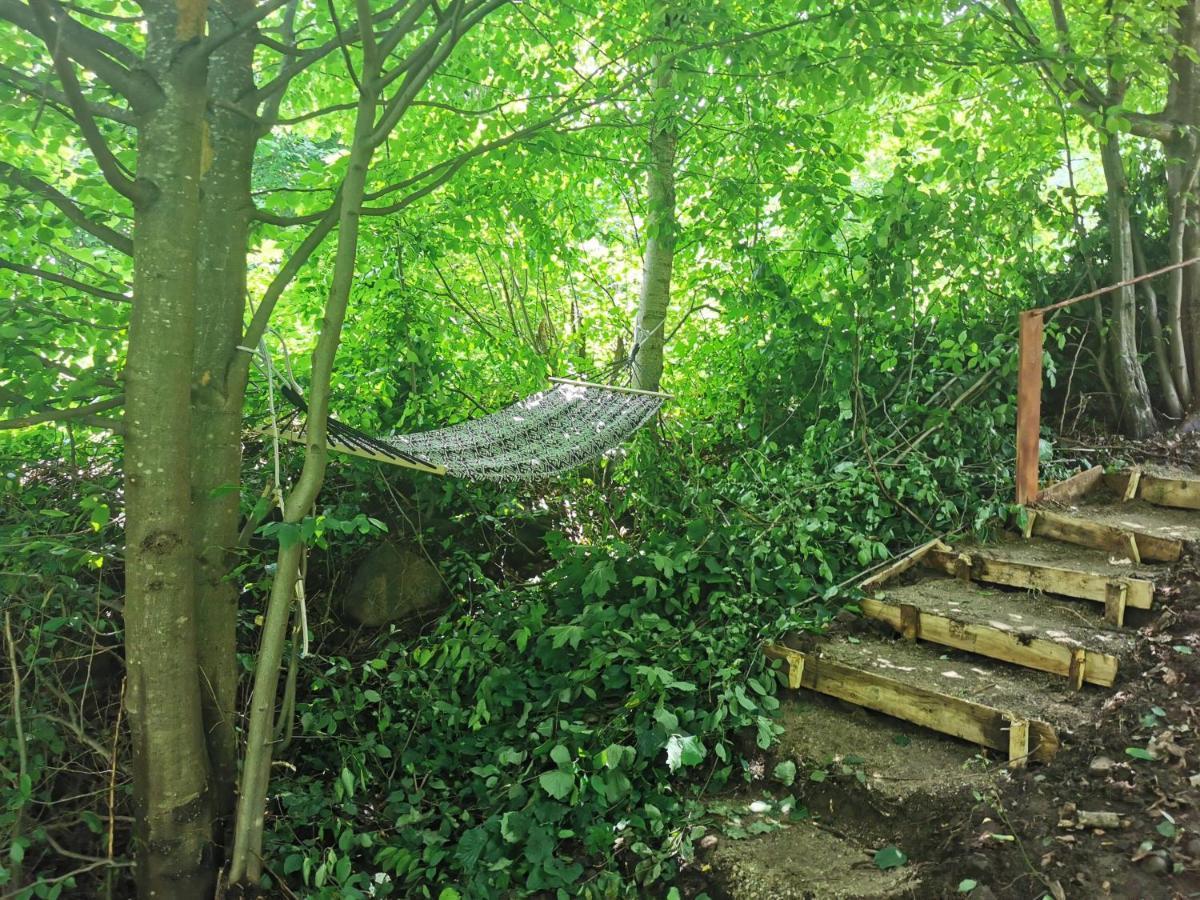 Cabana Lucia Tarcău-Gheuca Extérieur photo